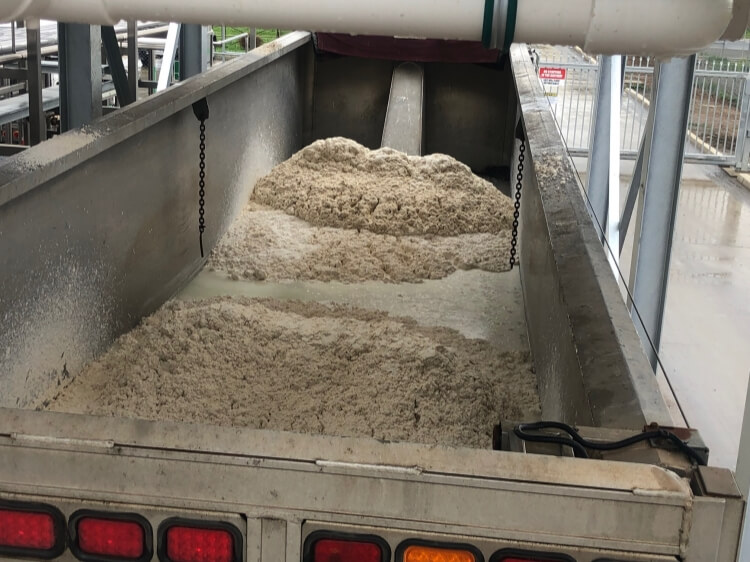 Sludge dewatering in dairy factory