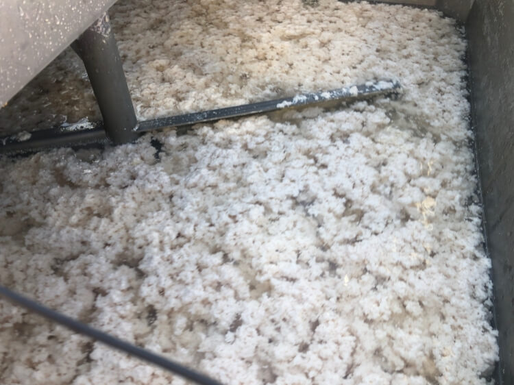 Sludge dewatering in dairy factory